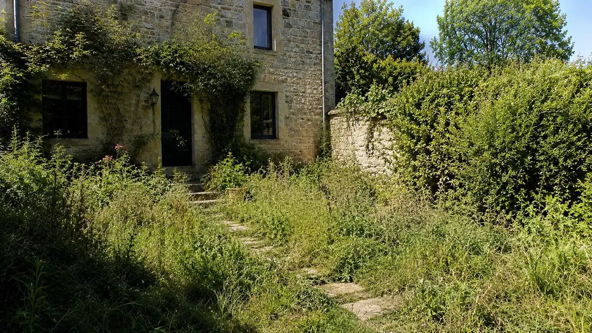 El mismo jardín antes: césped crecido, maleza y hierba descuidada